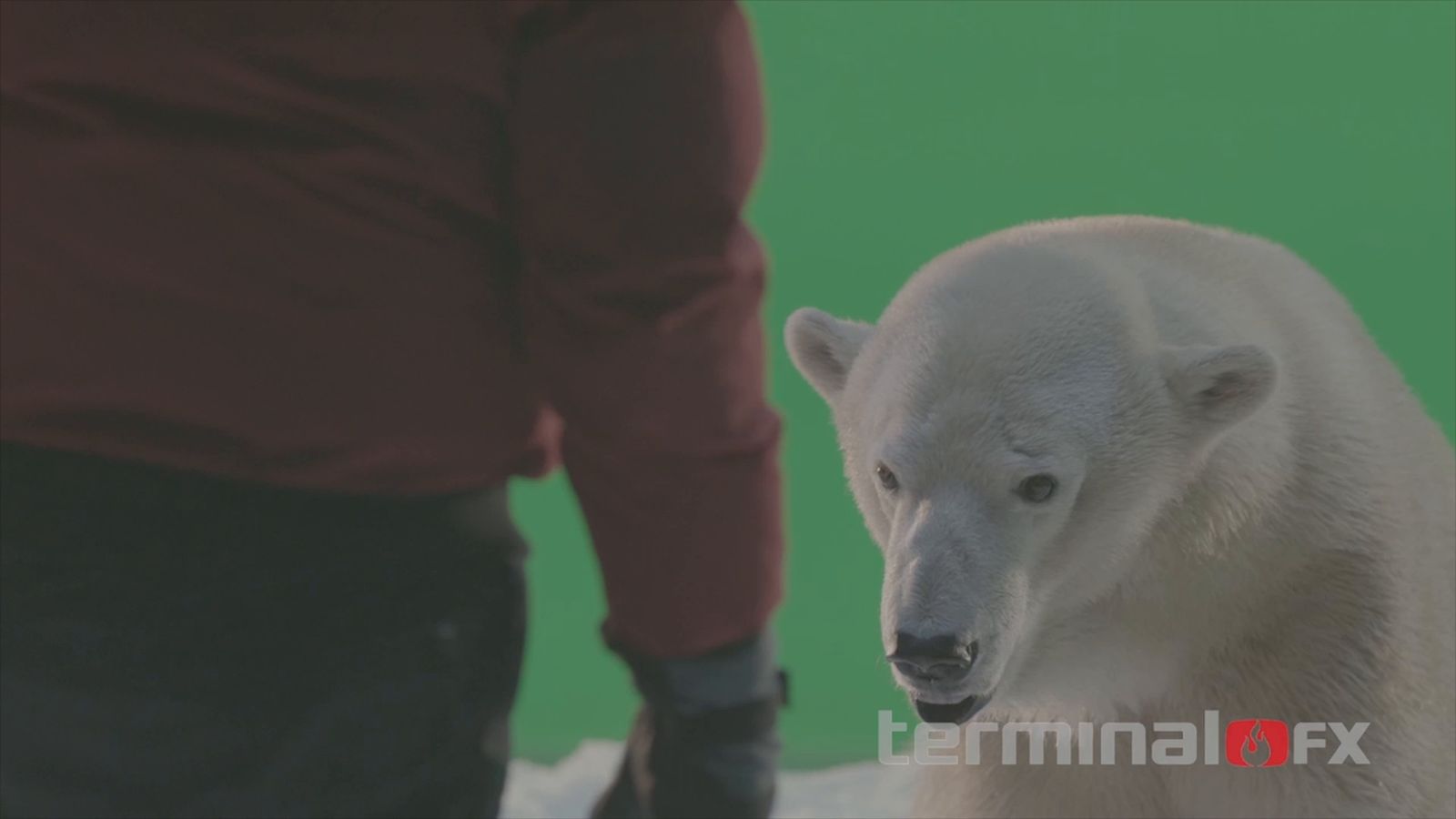 Still from Commercials making-of reel
