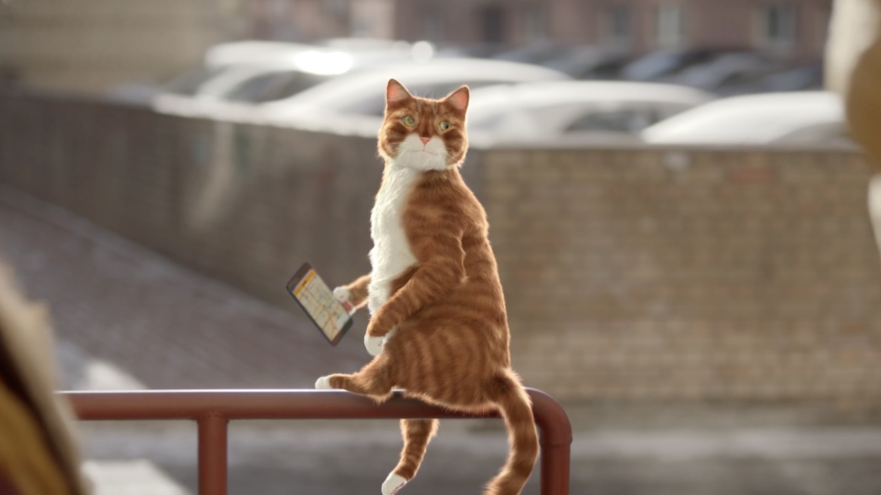 3D cat in the advertisement of the real estate company