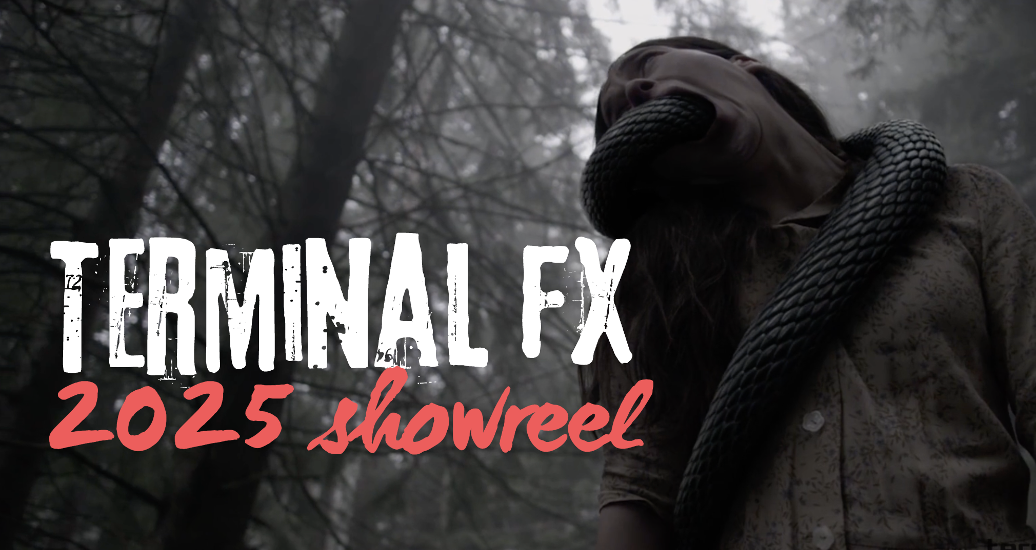 Latest VFX Work 2024/25